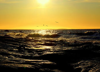 The monday afternoon - image gratuit #467003